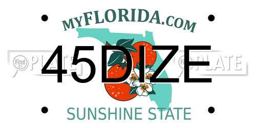 45DIZE Florida License Plate