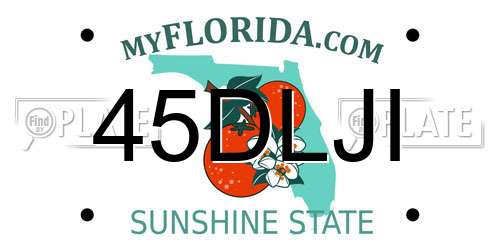 45DLJI Florida License Plate