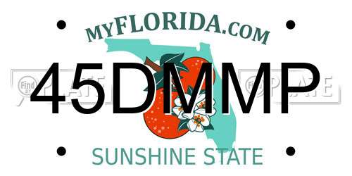 45DMMP Florida License Plate