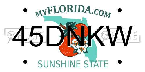 45DNKW Florida License Plate
