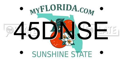 45DNSE Florida License Plate