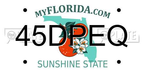 45DPEQ Florida License Plate