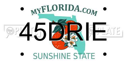 45DRIE Florida License Plate