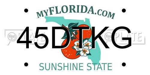 45DTKG Florida License Plate