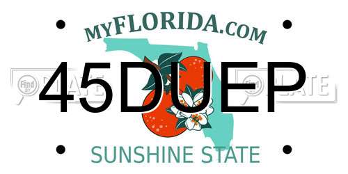 45DUEP Florida License Plate