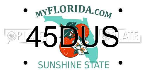 45DUS Florida License Plate