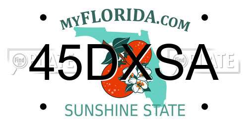 45DXSA Florida License Plate