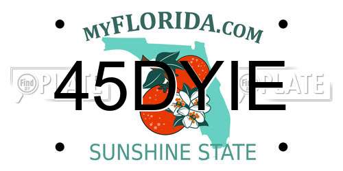 45DYIE Florida License Plate