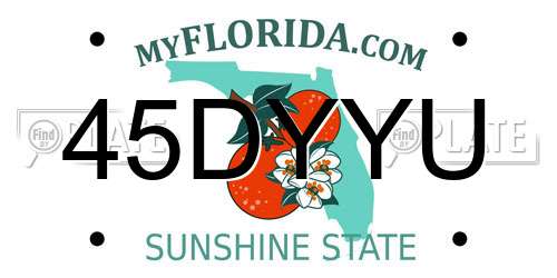 45DYYU Florida License Plate