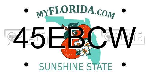 45EBCW Florida License Plate