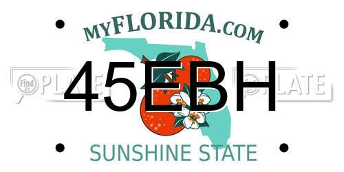 45EBH Florida License Plate