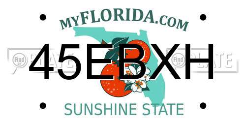 45EBXH Florida License Plate