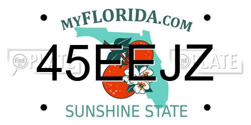 45EEJZ Florida License Plate