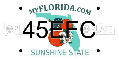 45EFC Florida License Plate