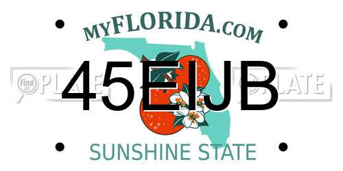 45EIJB Florida License Plate