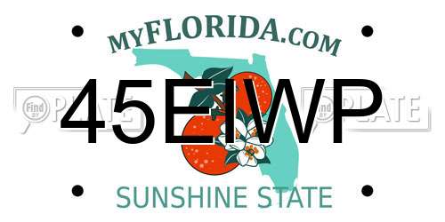 45EIWP Florida License Plate