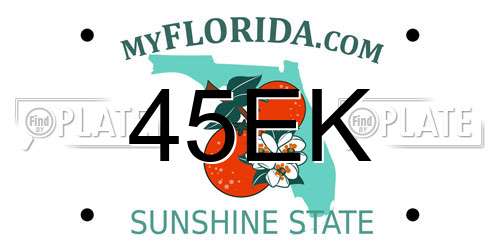 45EK Florida License Plate