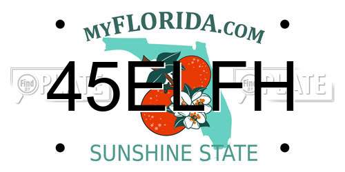 45ELFH Florida License Plate