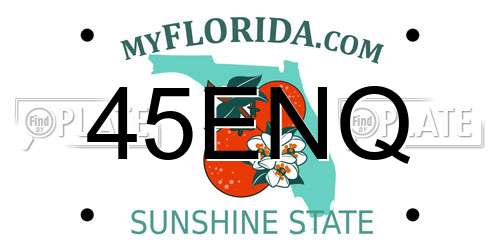 45ENQ Florida License Plate