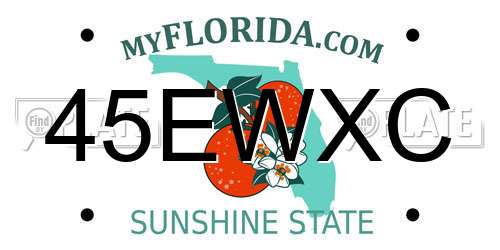 45EWXC Florida License Plate
