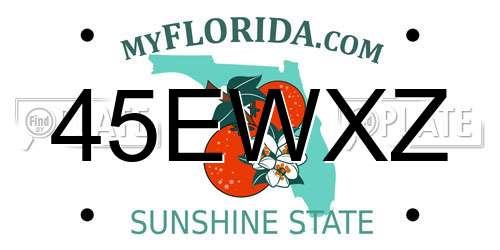 45EWXZ Florida License Plate