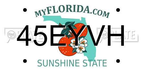 45EYVH Florida License Plate