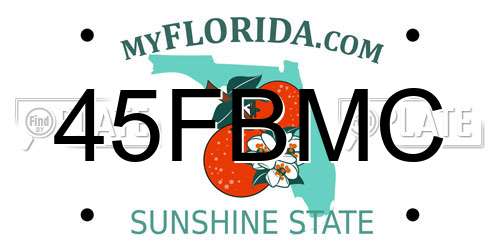 45FBMC Florida License Plate
