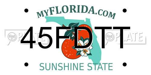 45FDTT Florida License Plate