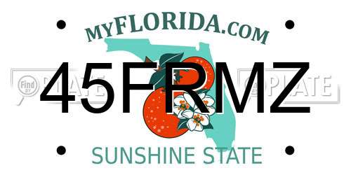 45FRMZ Florida License Plate