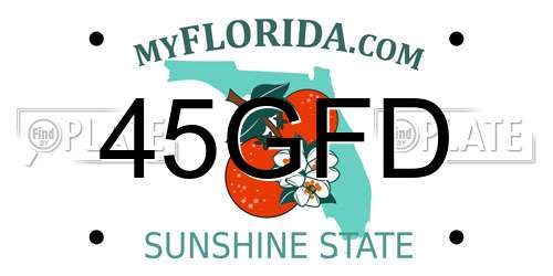 45GFD Florida License Plate