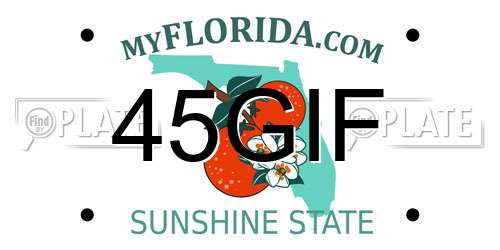 45GIF Florida License Plate