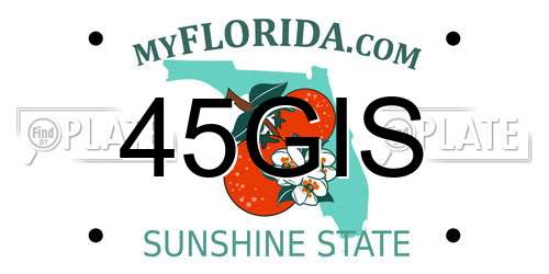 45GIS Florida License Plate