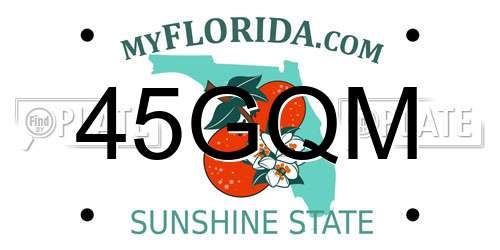 45GQM Florida License Plate
