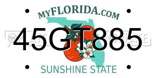45GT885 Florida License Plate