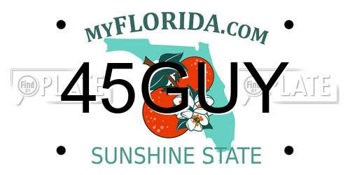 45GUY Florida License Plate
