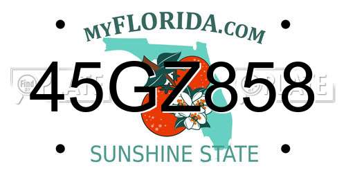 45GZ858 Florida License Plate