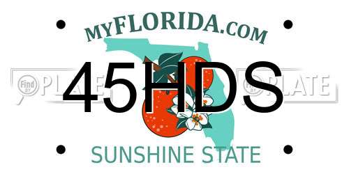 45HDS Florida License Plate