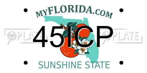 45ICP Florida License Plate