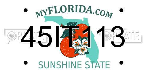 45IT113 Florida License Plate