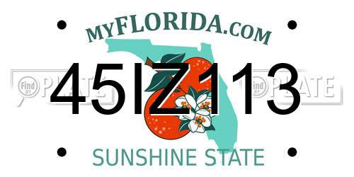45IZ113 Florida License Plate