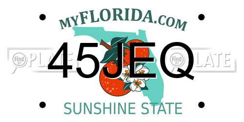 45JEQ Florida License Plate