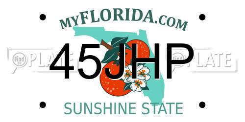 45JHP Florida License Plate