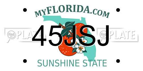 45JSJ Florida License Plate