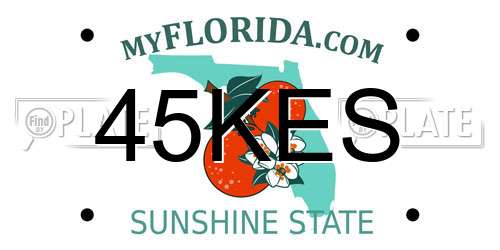 45KES Florida License Plate