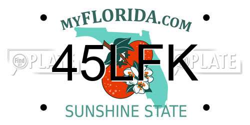 45LFK Florida License Plate