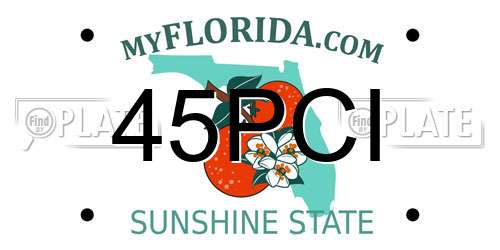 45PCI Florida License Plate
