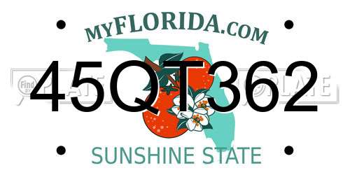 45QT362 Florida License Plate