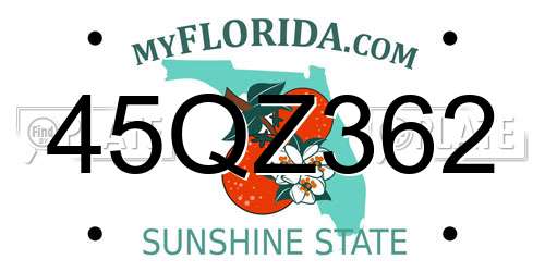 45QZ362 Florida License Plate