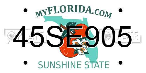 45SE905 Florida License Plate