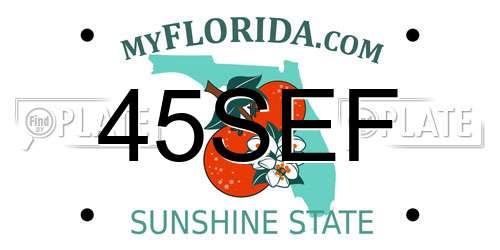 45SEF Florida License Plate